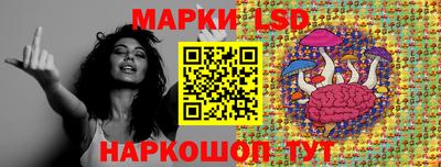 МДПВ Донецк