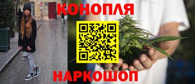 МДПВ Донецк